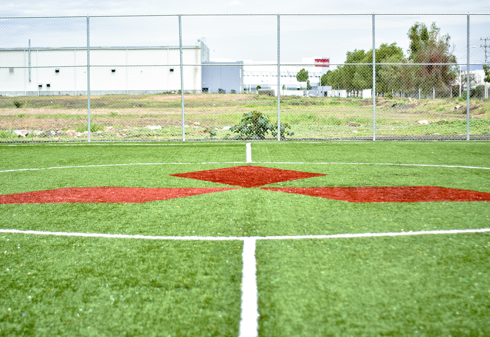 Proyecto 1